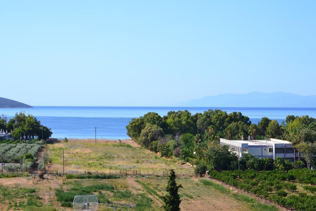 Drepano  Alexandros Apartments מראה חיצוני תמונה