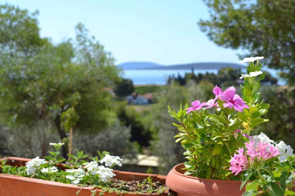 Drepano  Alexandros Apartments חדר תמונה