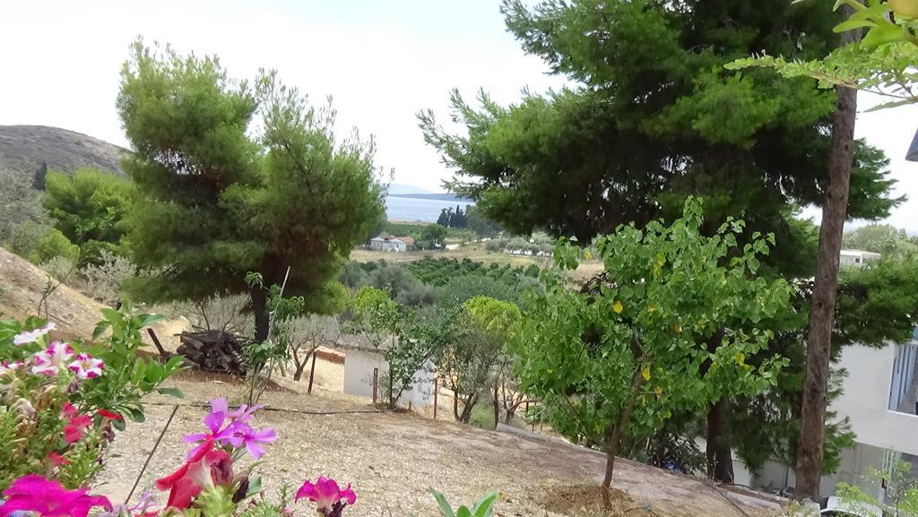Drepano  Alexandros Apartments מראה חיצוני תמונה